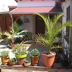 Sophia Cozy Self Catering Dolni Brezany