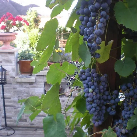 펜션 Sophia Cozy Self Catering *