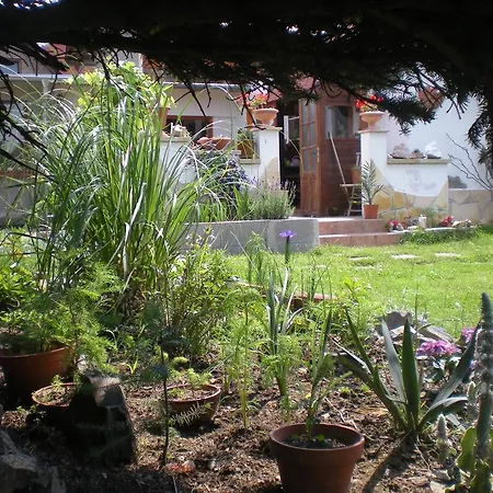 Sophia Cozy Self Catering