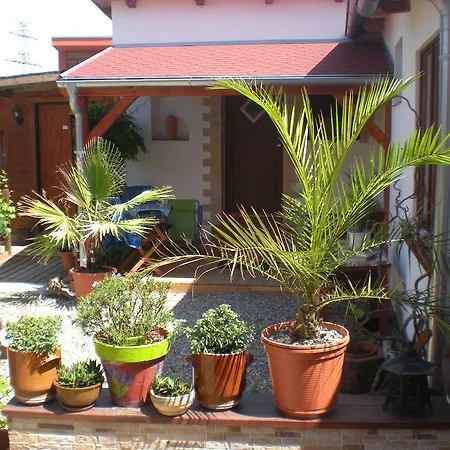 Sophia Cozy Self Catering Dolni Brezany