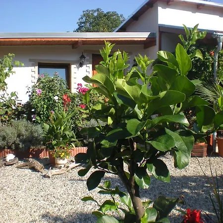 Sophia Cozy Self Catering