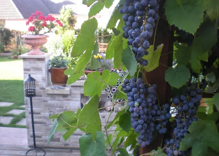 Holiday home Sophia Cozy Self Catering *