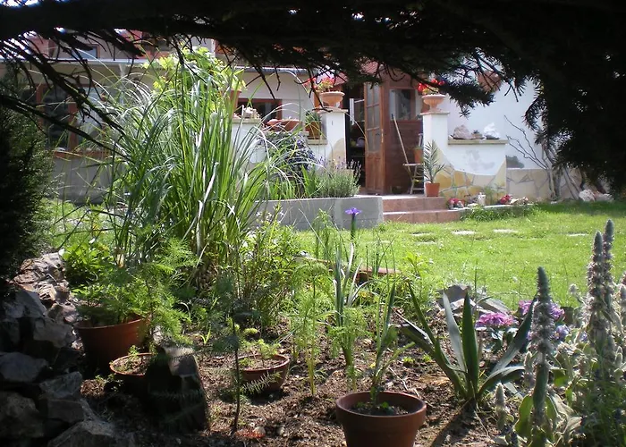 Sophia Cozy Self Catering