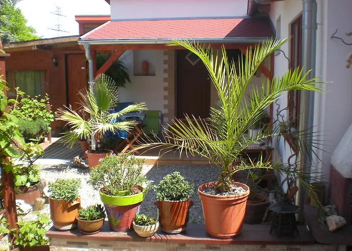 Sophia Cozy Self Catering Dolni Brezany