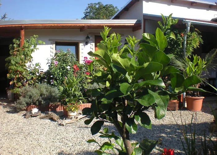 Sophia Cozy Self Catering