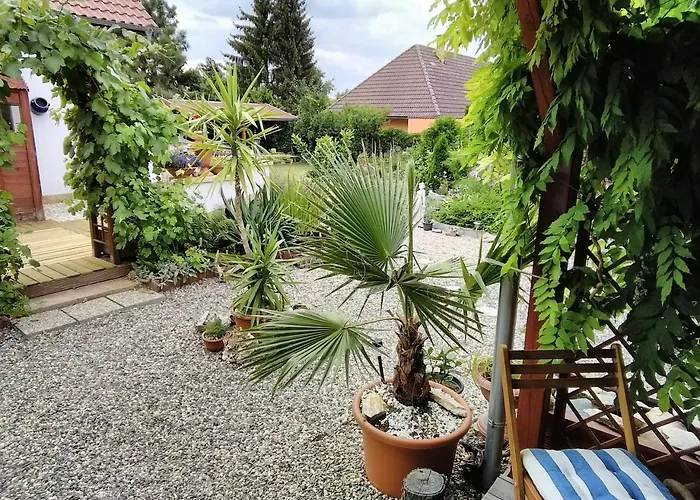 Σπίτι διακοπών Sophia Cozy Self Catering *